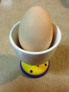 Rostrata Chooks Egg Number 2
